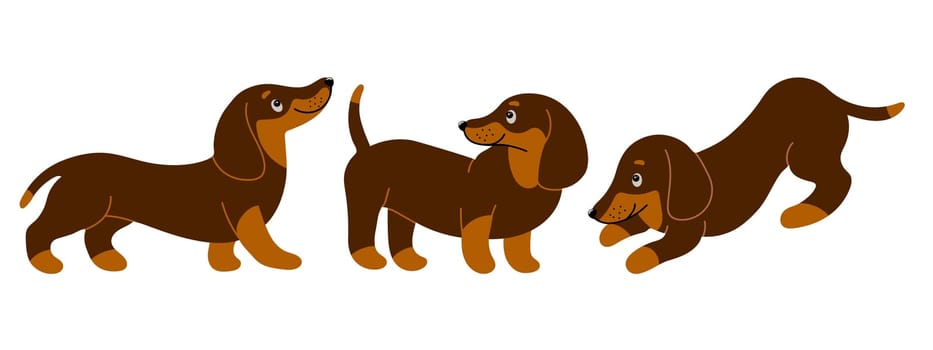 Set of cute purebred dachshund dogs in different poses. Cartoon style illustration, vector