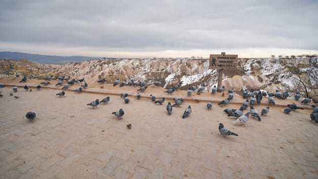 Beautiful landscape of pigeons are flying in Cappadocia pigeon valley, Uchisar, Turkey.