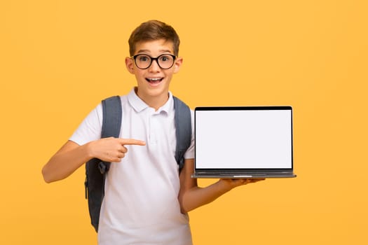 Enthusiastic schoolboy wearing glasses pointing at blank white laptop screen