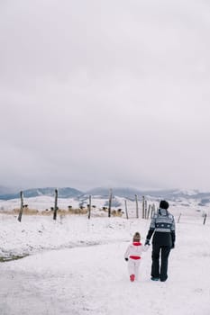 Mother and a little girl walk holding hands toward a snowy, fenced pasture with sheep. Back view