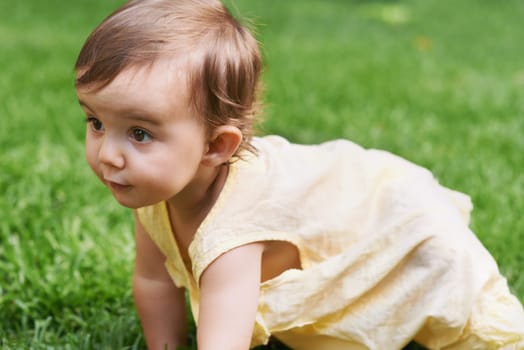 Sweet, grass and girl baby crawling, having fun and playing in backyard, park or garden. Nature, cute and kid, infant or toddler sitting on the lawn for child development senses outdoor at home.