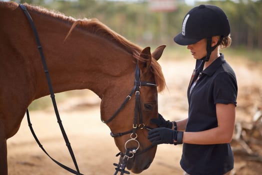 Woman, care and horse in nature with summer for bonding and relax on farm, ranch and countryside. Animal, pet and person feeling stallion for freedom, adventure and vacation with peace and sports