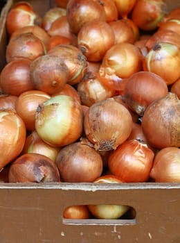Fresh onion crop on farmer market