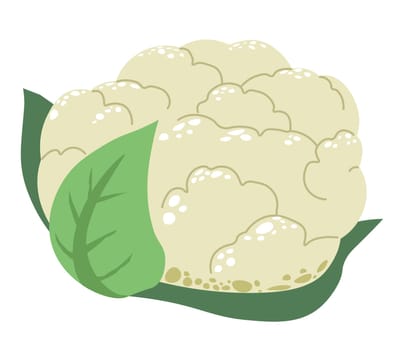 Cauliflower, tasty vegetable for healthy nutrition