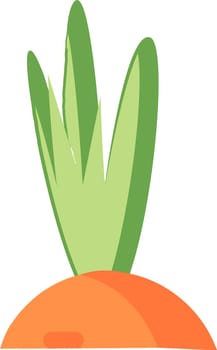 Flat Leaves Of Carrot Top Icon