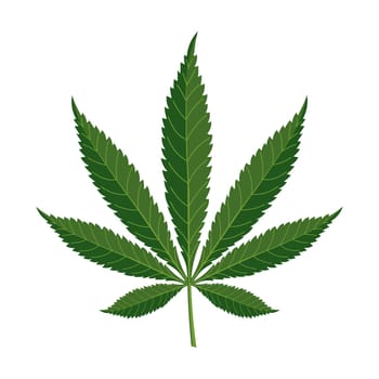 Cannabis leaf on a white background. Marijuana leaf. Illustration