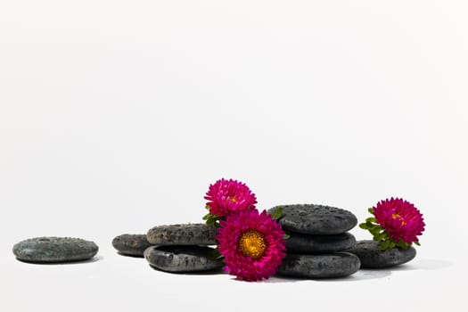 Stacked black spa stones with flowers on white background
