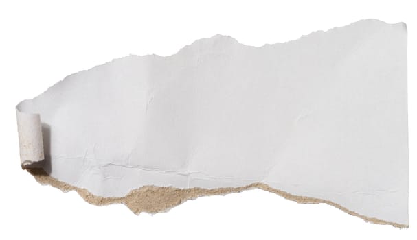 Torn piece of white cardboard with torn edges on an isolated background