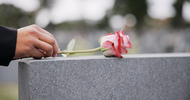 Funeral, cemetery and hands with rose on tombstone for remembrance, ceremony and memorial service. Depression, sadness and person with flower on gravestone for mourning, grief and loss in graveyard
