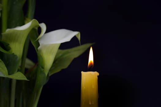 Burning wax candle and white calla lily flowers in darkness