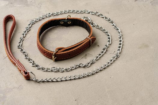 Pet collar and leash on gray background