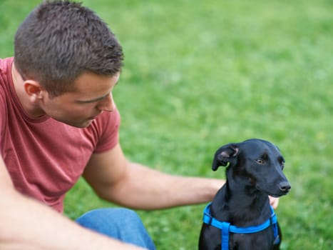 Man, dog and outdoor park for bonding connection, pet health training for obedience. Male person, animal and hugging at rescue shelter garden for happy home care play, environment walk on grass field