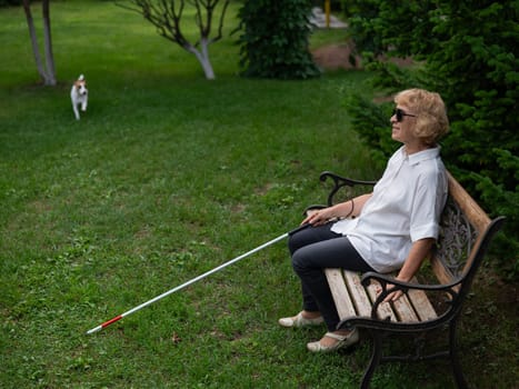 An elderly blind woman sits on a bench in the park. Old woman on a walk with a dog jack russell terrier.
