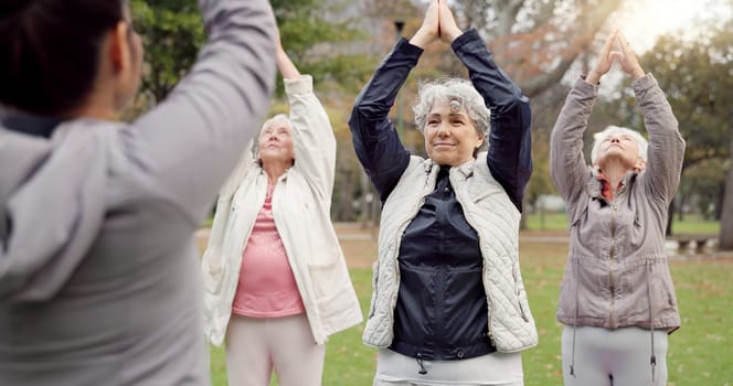 Trainer, park and elderly women stretching, yoga and fitness for wellness, health and pilates training. Female people, senior club or group outdoor, meditation or workout with exercise or retirement