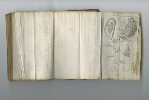 Medical, information and drawing in book on paper in antique, vintage or old science textbook with knowledge. Archive, illustration and diagram on parchment with notes, science and study of organ