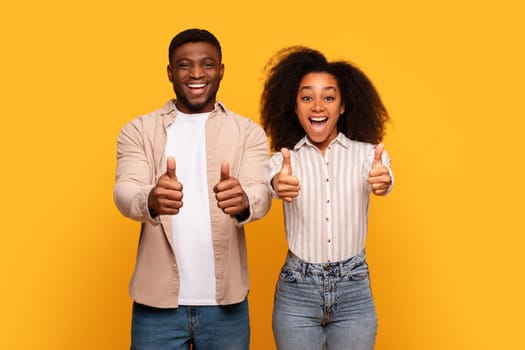 Excited black couple giving thumbs up together on yellow background