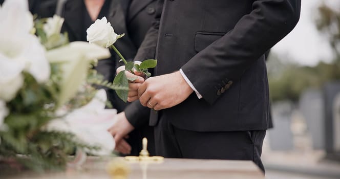 Hand, rose and a person at a funeral in a graveyard in grief while mourning loss at a memorial service. Death, flower and an adult in a suit at a cemetery with a coffin for an outdoor burial closeup