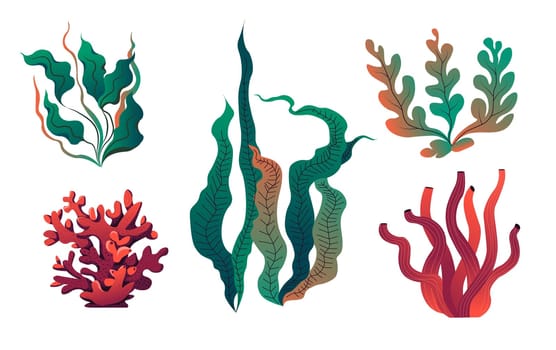 Aquarium seaweeds and decoration flora vector