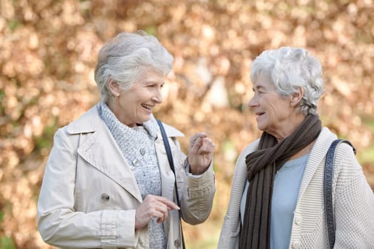 Senior women, happy and conversation in park by autumn leaves, together and bonding on retirement in outdoor. Elderly friends, smile or communication on vacation in england, care or social in nature.