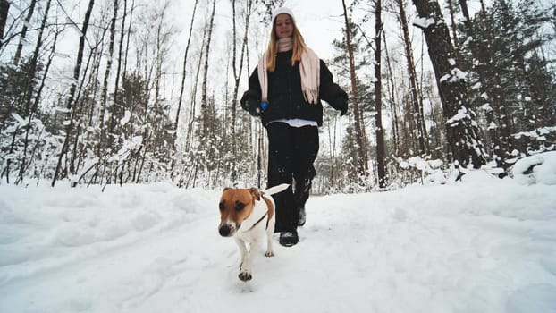 A girl and her Jack Russell Terrier dog are walking in the woods.