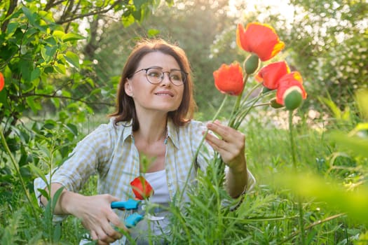 Middle-aged woman in nature cutting flowers red poppies