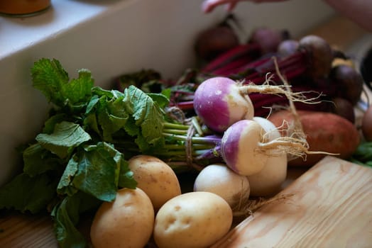 Root, vegetables and ingredients on kitchen counter for cooking recipe or leafy greens, radish or potato. Wood board, food and diet in apartment for healthy wellness or vegan eating, fibre or meal