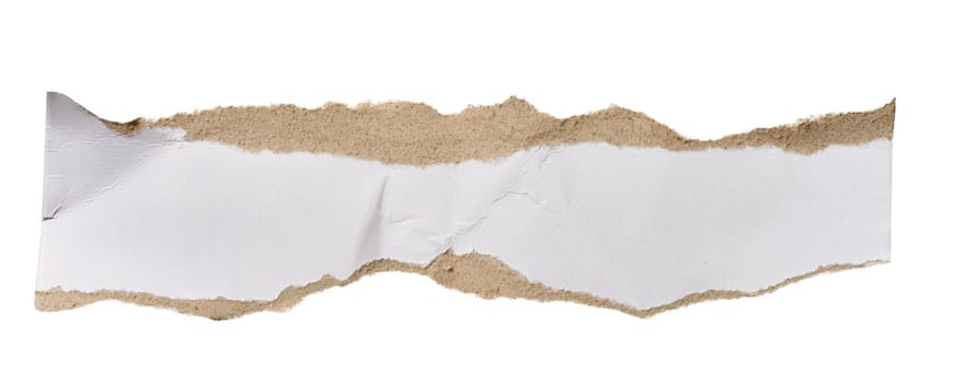 White piece of cardboard with torn edges on isolated background