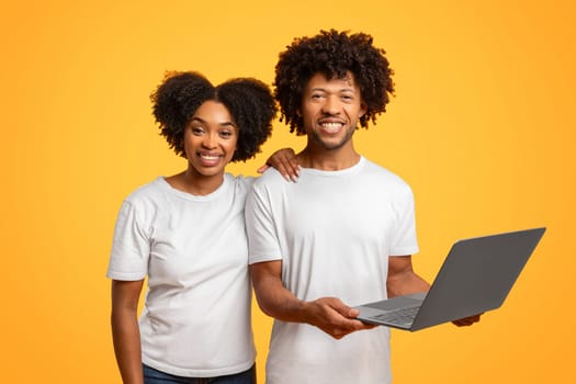Smiling cool african american couple using computer on background