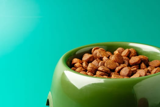 Bowl of dry pet food on green background