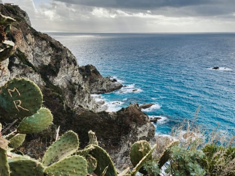 Prickly pears and sea in Calabria