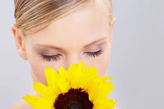 Beauty, makeup and sunflower with natural woman in studio on gray background for spring or summer aroma. Face, skincare and young model smelling scent of flower at spa for cosmetics or dermatology