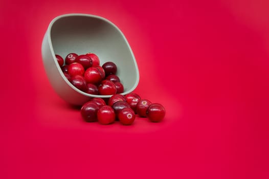 Bowl filled with fresh cranberries against a vibrant red