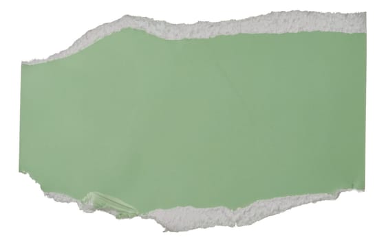 Green piece of cardboard with torn edges on isolated background