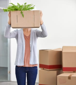 Box covering face, business and woman with fun, startup and shy with cardboard and management. New beginning, person and entrepreneur with plants and achievement with opportunity and professional