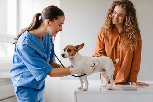 Female vet examines dog as owner looks on with affection