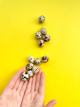 Open hands presenting quail eggs on vivid yellow backdrop, symbolizing nutrition, Easter celebrations, and the joy of spring with ample space for text.