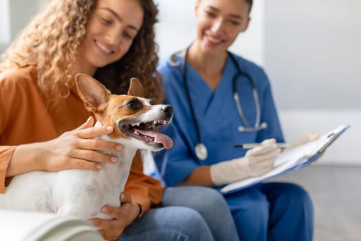 Female owner and vet happily engage with joyful Jack Russell Terrier