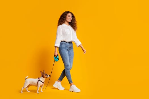 Woman walking with her Jack Russell on leash against yellow background
