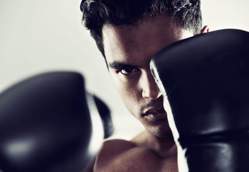 Portrait, man and boxer in training, exercise and workout for body health isolated on a grey studio background. Fight, serious face and athlete in gloves for fitness, sports and stance in Brazil