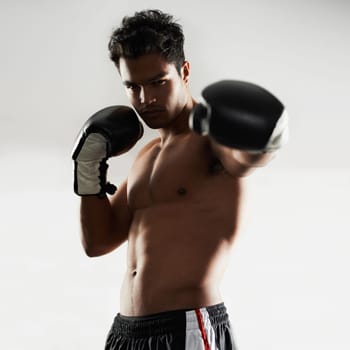 Man, serious and portrait with boxing gloves in studio for self defense, mma and combat. Male person, fighter and heavy training for physical sport with commitment, ready and strong for activity