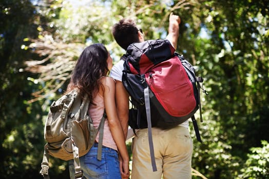 Hiking, pointing and back of couple in nature for adventure, love and explore outdoors. Forest, travel and man and woman with view on holiday, vacation and trekking for wellness, fitness or health