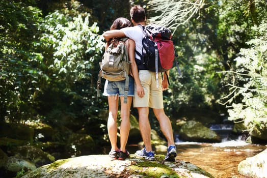 Hug, nature and back of couple in forest for hiking, trekking and adventure for wellness, relax and explore. Dating, love and man and woman on holiday, vacation and travel on weekend for exercise