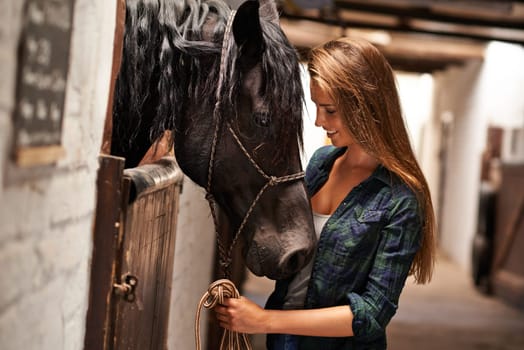 Woman, face and smile with horse in stable for bonding, sports training and recreation in Texas. Stallion, person and animal on farm or barn with happiness for healthy livestock, hobby and pet care.
