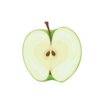 Apple. A green apple in a section. Ripe garden fruit. Vector illustration isolated on a white background