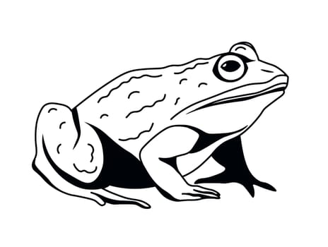 Pensive Frog Vector Artwork