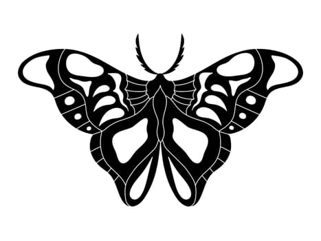 Monochrome monarch butterfly. Hand drawn insect. Vector illustration