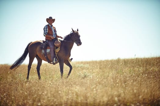 Man, horse and countryside land as cowboy for adventure riding in Texas meadow for explore farm, exercise or training. Male person, animal and stallion in rural environment on saddle, ranch or hobby