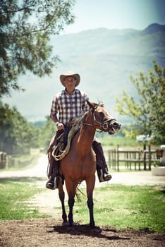 Portrait, cowboy and horse riding with mature man on saddle on field in countryside for equestrian or training. Nature, summer and hobby with horseback rider on animal at ranch outdoor in rural Texas
