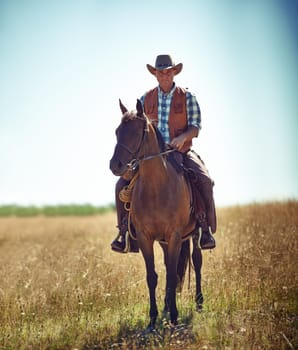Man, portrait and horse riding in countryside as cowboy or adventure in Texas meadow for explore, exercise or training. Male person, animal and stallion in rural environment on saddle, ranch or hobby