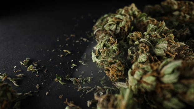 Legal medical cannabis, smoking weed activities, recreational drug. Hemp harvest